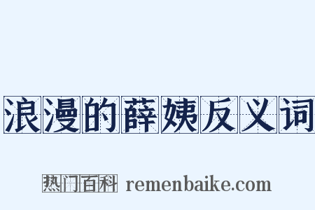 浪漫的薛姨反义词是什么意思的图片